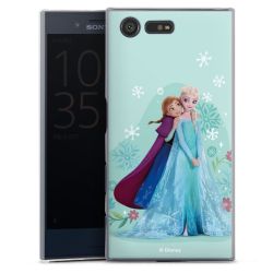 Skyddskal genomskinlig