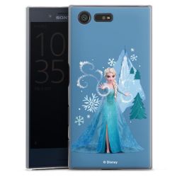 Skyddskal genomskinlig