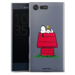 Hard Case transparent