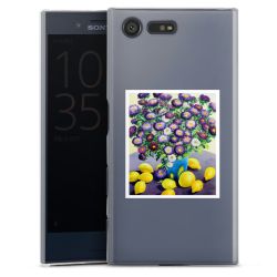 Skyddskal genomskinlig