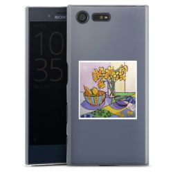 Skyddskal genomskinlig