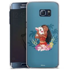 Skyddskal genomskinlig