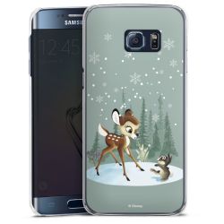 Skyddskal genomskinlig