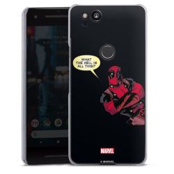 Skyddskal genomskinlig