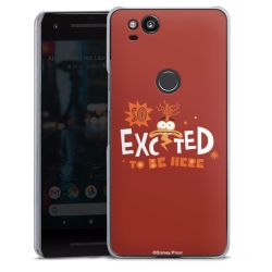 Skyddskal genomskinlig