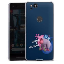 Skyddskal genomskinlig