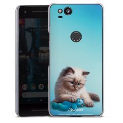 Hard Case transparent