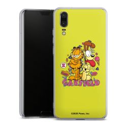 Skyddskal genomskinlig