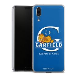 Skyddskal genomskinlig