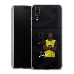 Skyddskal genomskinlig