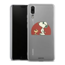 Skyddskal genomskinlig