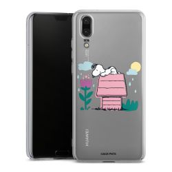 Skyddskal genomskinlig