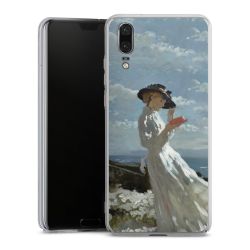 Skyddskal genomskinlig