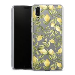 Skyddskal genomskinlig