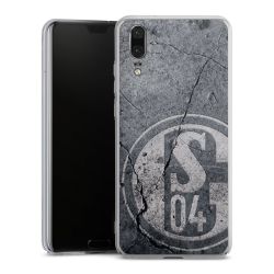 Skyddskal genomskinlig