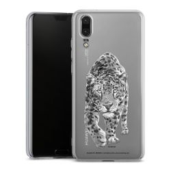 Skyddskal genomskinlig