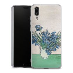 Skyddskal genomskinlig