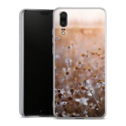 Skyddskal genomskinlig