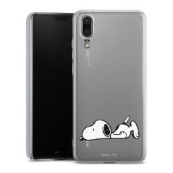 Skyddskal genomskinlig