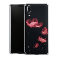 Skyddskal genomskinlig