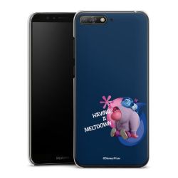 Hard Case transparent