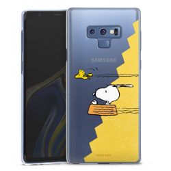 Skyddskal genomskinlig