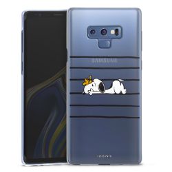 Skyddskal genomskinlig