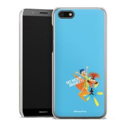 Skyddskal genomskinlig