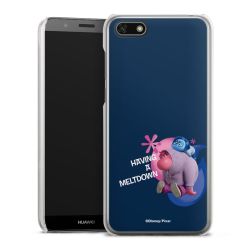 Skyddskal genomskinlig