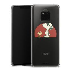 Skyddskal genomskinlig