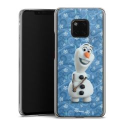 Skyddskal genomskinlig