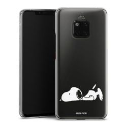 Skyddskal genomskinlig