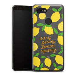 Hard Case transparent