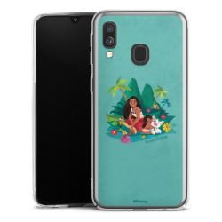 Skyddskal genomskinlig