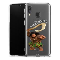 Skyddskal genomskinlig