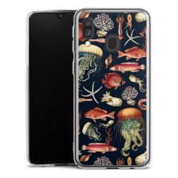 Skyddskal genomskinlig