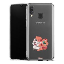 Skyddskal genomskinlig