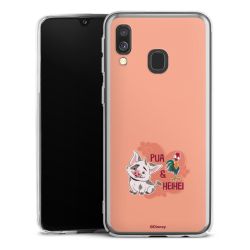 Skyddskal genomskinlig