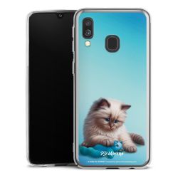 Skyddskal genomskinlig