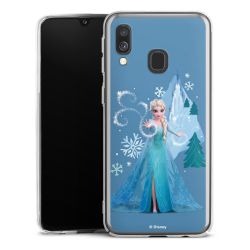 Skyddskal genomskinlig