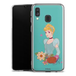 Skyddskal genomskinlig