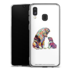 Skyddskal genomskinlig