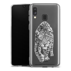 Skyddskal genomskinlig