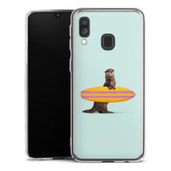 Skyddskal genomskinlig