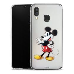 Skyddskal genomskinlig