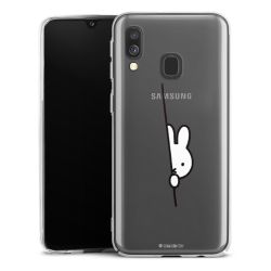 Skyddskal genomskinlig