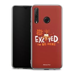 Skyddskal genomskinlig