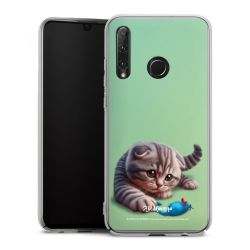 Skyddskal genomskinlig