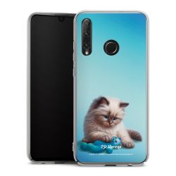 Skyddskal genomskinlig