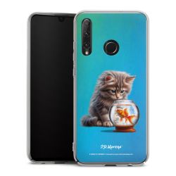 Skyddskal genomskinlig